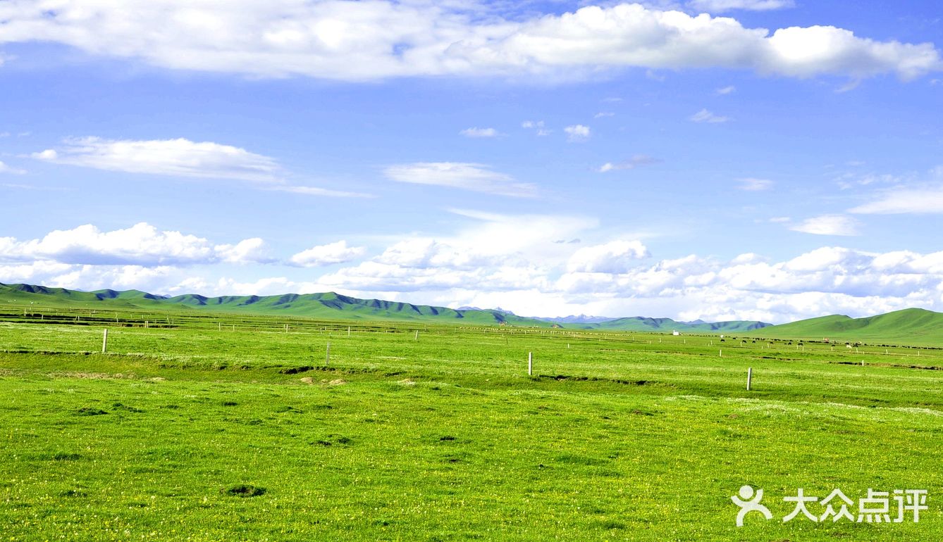 川西宝藏打卡点诺尔盖草原，让你体会剩下的盛夏[礼花]