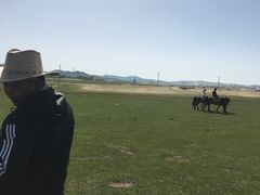 -乌兰布统草原