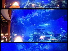 -迪拜帆船酒店海底餐厅