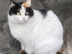 -郭守敬纪念馆