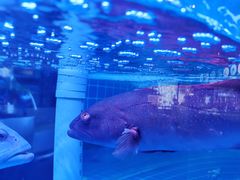 -泰谷酒店·太古码头闽菜自助餐厅