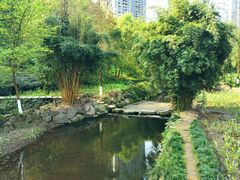 -重庆彩云湖湿地公园