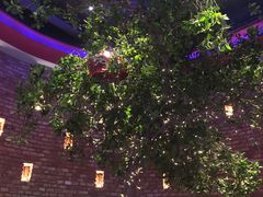 -肉串汪(望京店)