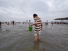 -碧海金沙