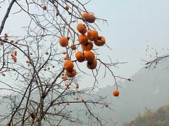 -狼牙山风景区