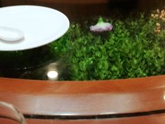 -天然居文化美食城(浮阳大道店)