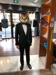 -Suit&Leader尚理德服装定制(上海展览中心店)