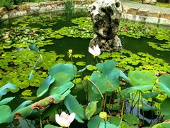 -国家植物园南园