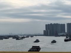 -海鸥岛