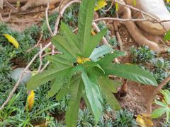 -广州神农草堂中医药博物馆