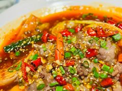 -侨美·唐荔园·40年地道粤菜