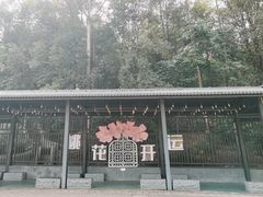 -南国桃园旅游度假区