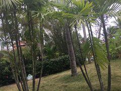 -三亚珠江南田温泉度假区