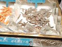 -東盛炭烤自助料理(浦东文峰广场店)