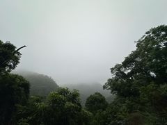 -鼎湖山风景区