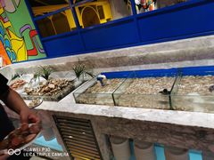 海鲜-火锅岛潮牌自助餐厅(天津天佑城店)