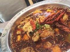 -奔跑吧陕菜·盛世长安(民乐园万达店)