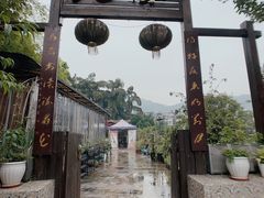 -先机泉水鸡汤(南山老君洞店)