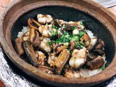 白鱔拼黃鱔-红星光发煲仔饭(大石街店)