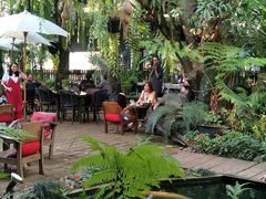 -Fern Forest Cafe