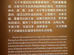 -河姆渡遗址博物馆