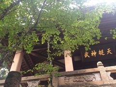 -青城山