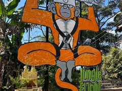 -清迈丛林飞跃 JungleFlight