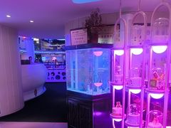 -巴特餐饮6加1音乐餐吧·新疆菜