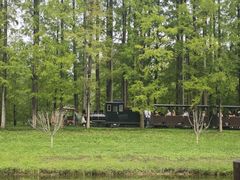 -黄海国家森林公园