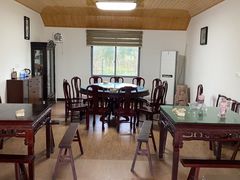 -南汇新场正宗水蜜桃采摘