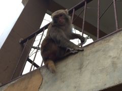 iphone_upload_pic-广西龙虎山风景区