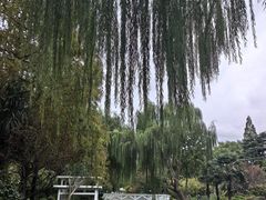 -兰溪青年公园