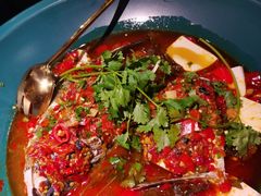 黄晓猫剁椒鱼头-黄晓猫剁椒大鱼头(海岸城店)