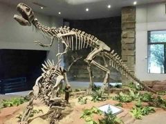 iphone_upload_pic-自贡恐龙博物馆