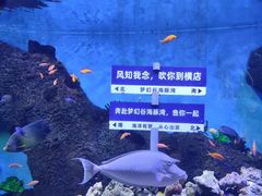 -横店影视城梦幻谷园区