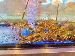 -稻香(第一国际店)