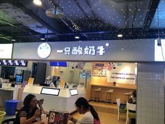 -一只酸奶牛(八一路店)