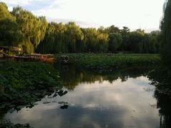 android_upload_pic-紫竹院公园冰场