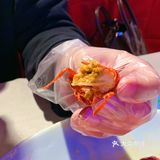 全京城多家连锁的小龙虾，别吃，吃了就上头！
