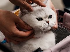 -方浜中路45弄小区