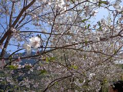 -亭下湖饭店(康岭店)