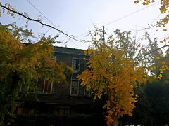 -百林公园-两江幸福广场
