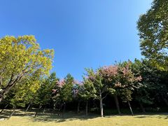 -牛岗山公园