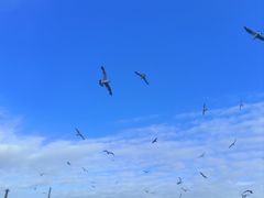 -星海广场