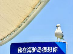 -海驴岛(荣成市)