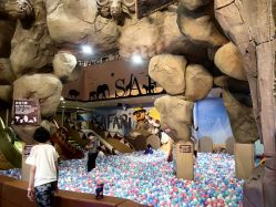 -卡通尼·Safari非洲探索乐园·生日会(金桥国际商业广场店)