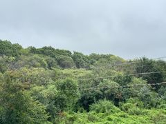 -珲春防川景区