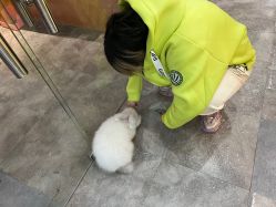 -神奇动物撸宠馆·羊驼·小浣熊·异宠(豫园店)