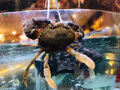 帝皇蟹三味-德胜轩正宗顺德菜(宝安沙井会展中心店)