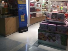 -升恒昌免税商店(台北松山机场店)